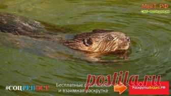 Мытищи Мыт.РФ #Мытищи