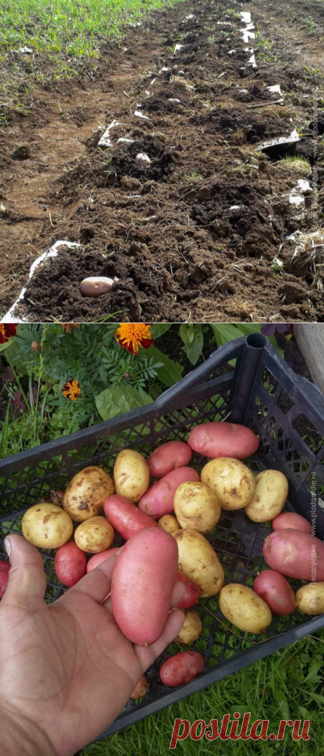 Всё что не делали, всё к лучшему!