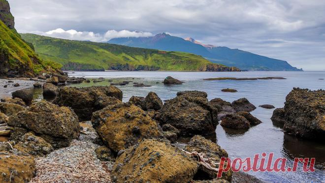 У Северных Курил произошло ощутимое землетрясение. Утром у Северных Курил было зафиксировано землетрясение магнитудой 4,6. Об этом сообщила РИА Новости начальник сейсмостанции "Южно-Сахалинск" Елена Семенова. Она рассказала, что толчки произошли в Тихом океане. Эпицентр ...