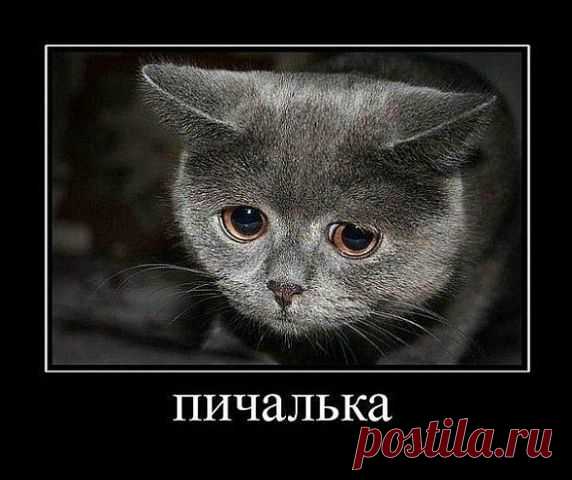Если вы не можете зайти в соцсети...