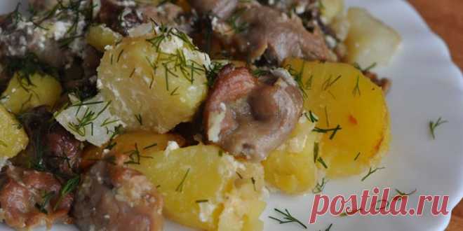Куриные желудки в мультиварке - вкусные рецепты приготовления в соусе с фото