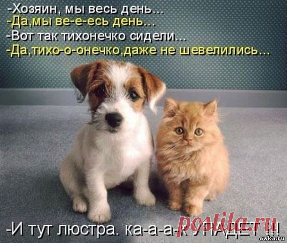 ПОЛНЫЙ ХОХОТАЧ!