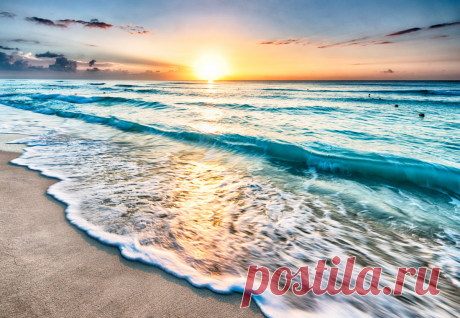 Азотсодержащие соединения в формате ЕГЭ по химии. | Елена Шаврак | Яндекс Дзен