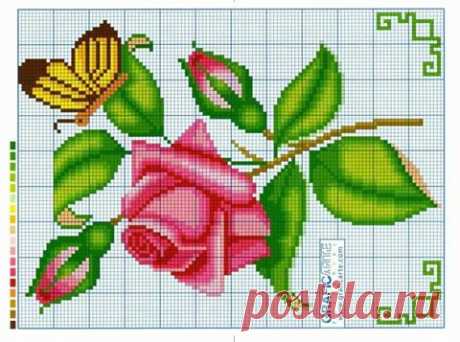 (12) Facebook