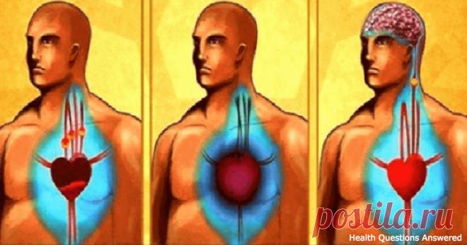 10 продуктов, которые прочистят ваши артерии лучше любого лекарства 
В то время как существуют соки, коктейли и разные Детокс напитки, помогающие почистить организм и улучшить обмен веществ, природа также предоставила нам продукты, которые имеют те же свойства.
Эти 10…