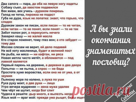 Я люблю русский язык