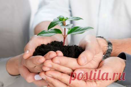 Успеха в МЛМ Бизнесе добиваются те , кто первыми начинает правильно действовать ,  обучаются доступным и на первом этапе бесплатным инструментам в интернете  , учатся передавать свои знания новым , приобщенным по системе ,  партнерам. Регистрация по ссылке , в систему ЗДОРОВЫЙ БИЗНЕС на обучение