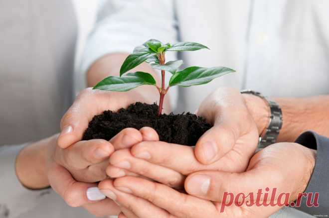 Успеха в МЛМ Бизнесе добиваются те , кто первыми начинает правильно действовать ,  обучаются доступным и на первом этапе бесплатным инструментам в интернете  , учатся передавать свои знания новым , приобщенным по системе ,  партнерам. Регистрация по ссылке , в систему ЗДОРОВЫЙ БИЗНЕС на обучение