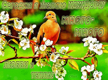 Архив открыток отправленных 16 Мая 2016 года. Добавили: Леонора Елена Пере, Алёна Лешкова, Алла Васильева, Марина Малинина