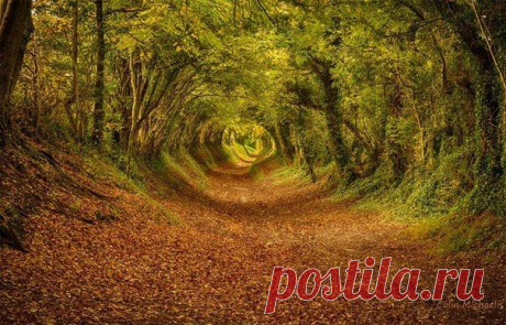 природа