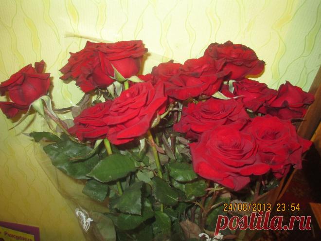 сегодня по тонкому льду.....к тебе я с розами иду.....