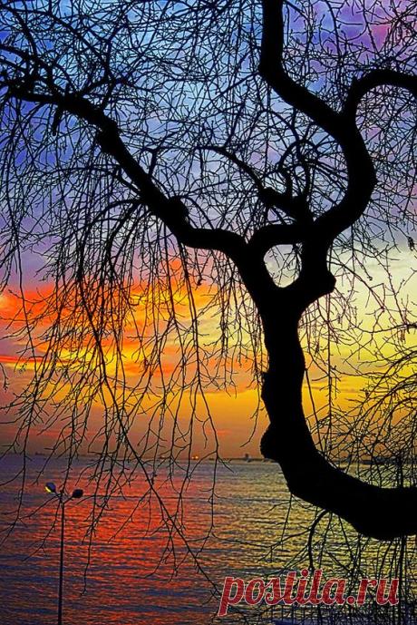 sunset moda by Recep Cirik on 500px
fivehundredpx от recep | Pinterest: инструмент для поиска и хранения интересных идей