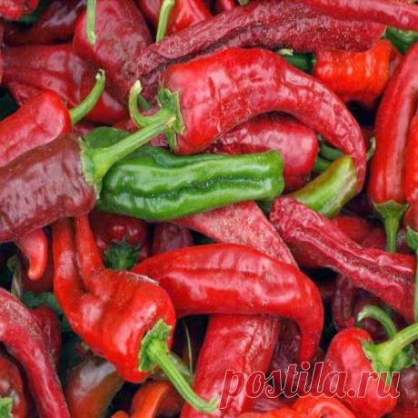 Полезные для здоровья рецепты | Друг пенсионера
У меня знаний в народной медицине не очень много, но кое-какие средства довелось попробовать. О них и хочу рассказать: