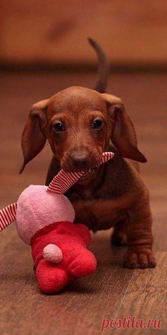 let's play!