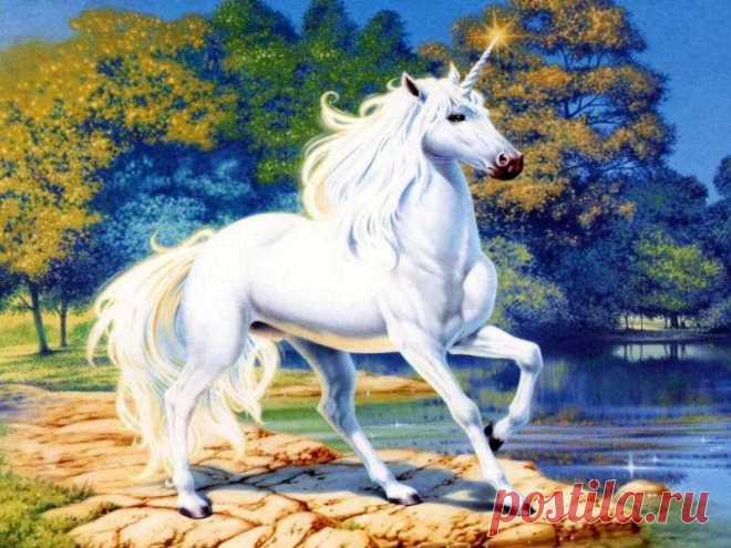 вышивка крестом лошади единороги: 6 тыс изображений найдено в Яндекс.Картинках