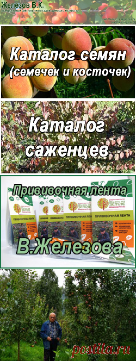 ИНТЕРЕСНО!!! Официальный сайт Железова В.К. - главная страница