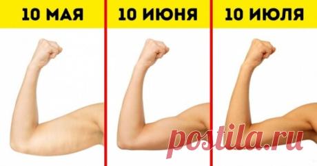 Выполняйте эти 6 упражнений, и ваши руки станут красивыми, как у модели | Красота [LIVE] | Яндекс Дзен