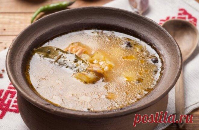 Что любит идеальный рыбный бульон (и суп): прозрачный, крепкий, ароматный. И почему его варят 