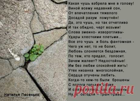 Трын-трава (Наталья Песенько) / Стихи.ру - национальный сервер современной поэзии