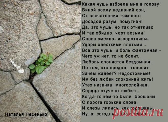 Трын-трава (Наталья Песенько) / Стихи.ру - национальный сервер современной поэзии