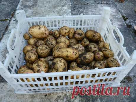(50) Одноклассники