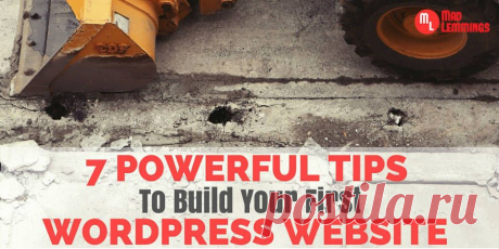 7 Powerful Tips To Build Your First WordPress Site With Ease
the Author Taylor Manning