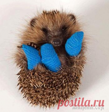 Неизвестные факты об известных художниках