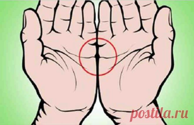 А вы знаете как читать по руке? И что значит, если линии сердца на ладонях сходятся?..