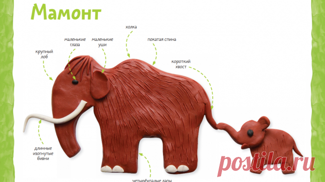 Изучаем древних животных с помощью пластилина: 4 мастер-класса от Чевостика
