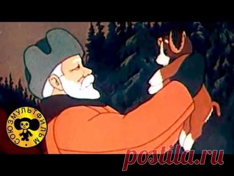 Мультфильмы: Крепыш