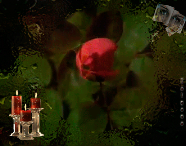 роза | ЭКСКЛЮЗИВ МАСТЕРОВ АНИМАЦИИ | Группы Мой Мир