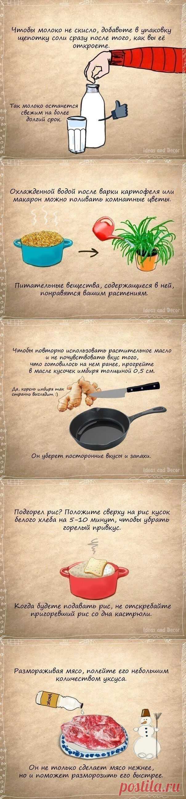 Полезные советы / Домоседы