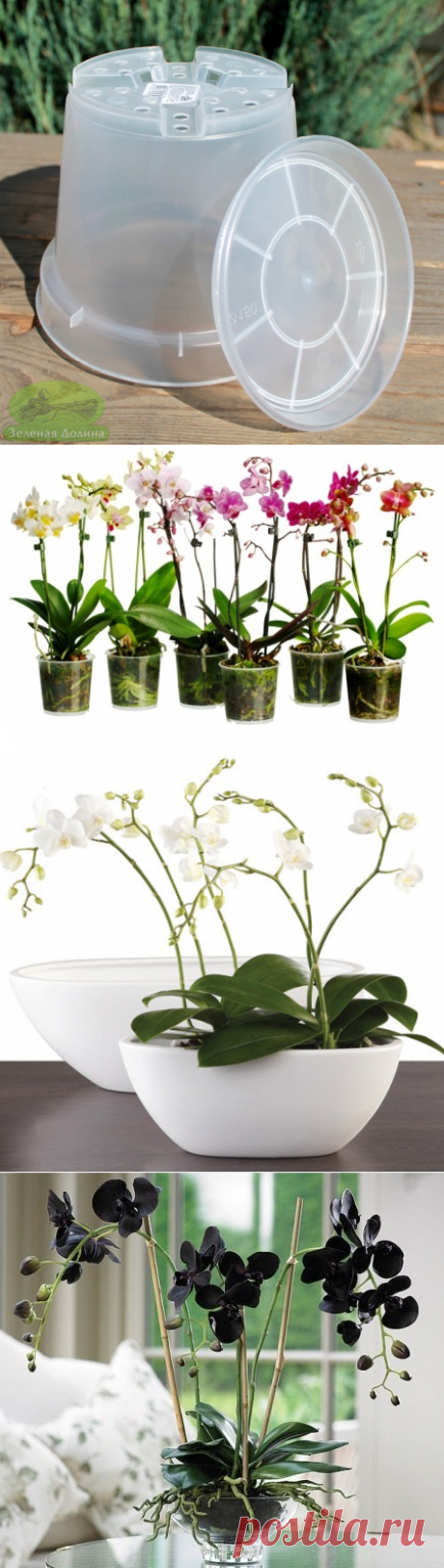 Горшок для орхидеи: 5 простых правил для правильного выбора — Flowerindustry.ru