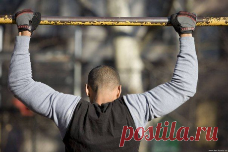 Подтягивания / Абсолютное здоровье
