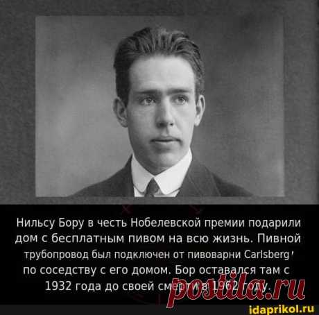 Нильсу Бору в честь Нобелевской премии подарили дом с бесплатным пивом на всю жизнь. Пивной трубопровод был подключен от пивоварни СагIзБега по соседству с его домом. Бор оставался там с 1932 года до своей смерти в 1962 году. - ) / АйДаПрикол .)