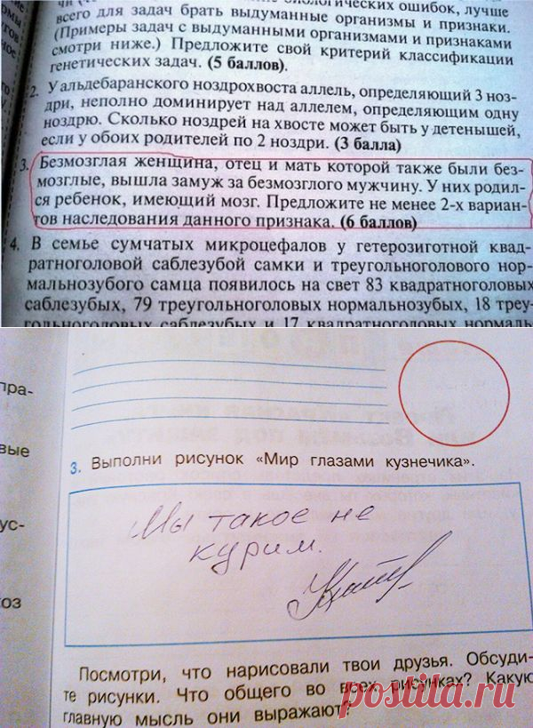 «Креативные» детские задания – Фитнес для мозга