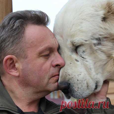 (56) Одноклассники