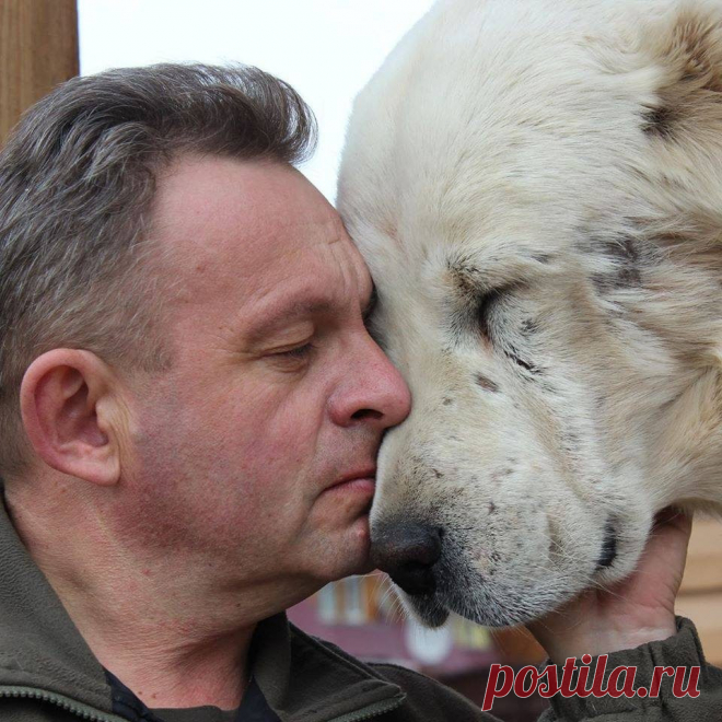 (56) Одноклассники