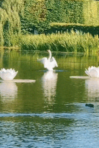 Лето