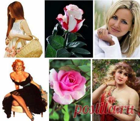 Громкая. Тихая. Слишком открытая.
Нервы по ниточкам. Сердце закрытое.
Время потрачено. Мысли не сдержаны.
Дерзкая. Сильная. Властная женщина.
Спросишь- откликнется. Бросишь- царапнется.
Непредсказуема. Часто срывается.
Делает больно. Злится. Ругается.
Сильно страдает, но не извиняется.
Любит. Сжигает. Сама растворяется.
В сказки не верит. За маской не прячется.
Просто уйдет, на виду не расплачется.
Громкая. Тихая. Слишком открытая....