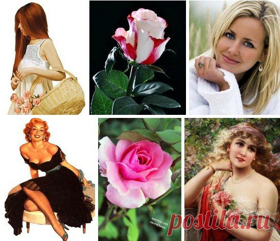 Громкая. Тихая. Слишком открытая.
Нервы по ниточкам. Сердце закрытое.
Время потрачено. Мысли не сдержаны.
Дерзкая. Сильная. Властная женщина.
Спросишь- откликнется. Бросишь- царапнется.
Непредсказуема. Часто срывается.
Делает больно. Злится. Ругается.
Сильно страдает, но не извиняется.
Любит. Сжигает. Сама растворяется.
В сказки не верит. За маской не прячется.
Просто уйдет, на виду не расплачется.
Громкая. Тихая. Слишком открытая....