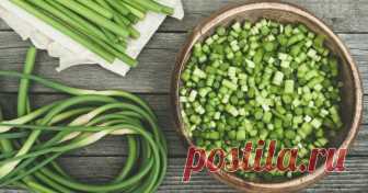 Что приготовить из чесночных стрелок – рецепты заготовок на зиму и не только Выращивая чеснок на дачном участке, многие обрывают и выбрасывают образующиеся на растении стрелки. Вот и напрасно. Из молодых чесночных стрелок можно приготовить массу вкусных и интересных блюд, стрелки можно заморозить или замариновать на зиму.