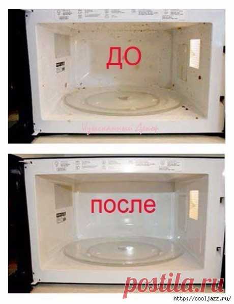 Самый быстрый способ почистить микроволновку.