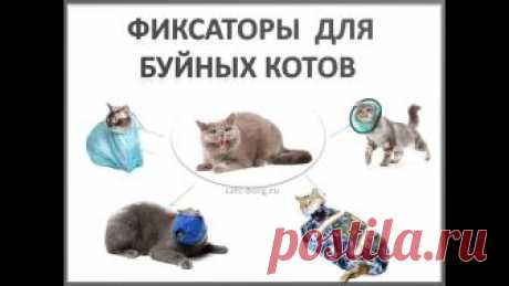 "Смирительная рубашка" и "Намордник" или как усмирить агрессивного кота во время обработки.Удобный и надежный способ фиксации