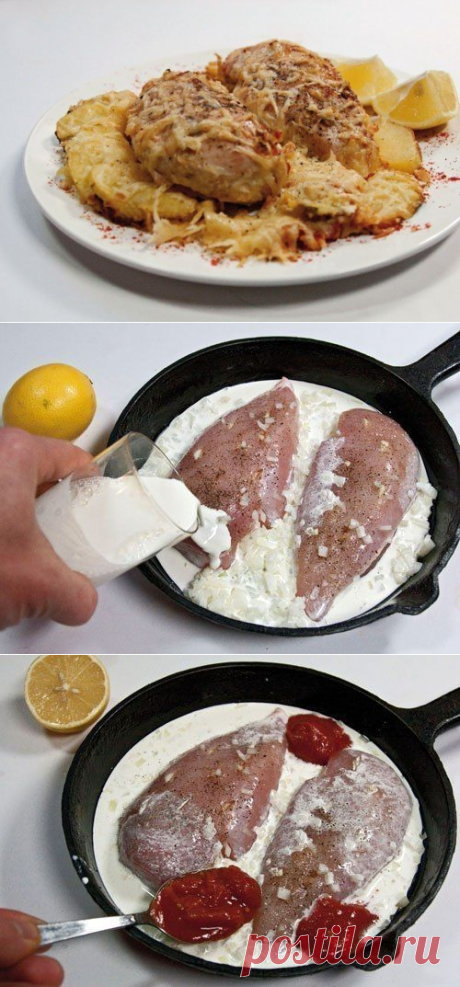 Куриные грудки, запеченные в сливках под сыром