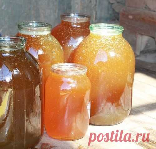 Как получают мёд (22 фото)