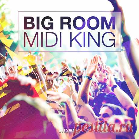 Diginoiz Big Room Midi King MiDi  | 6MB
Good Big Room midi files for professional producers and composers are really hard to find. That is why we decided to invite talented and experienced German music producer to create some big room midi loops that will inspire you to create some huge international smash hits!
