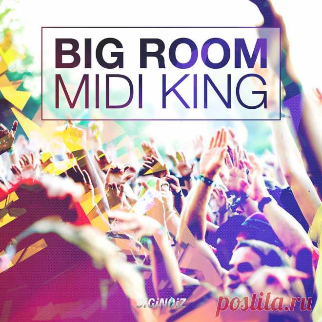 Diginoiz Big Room Midi King MiDi  | 6MB
Good Big Room midi files for professional producers and composers are really hard to find. That is why we decided to invite talented and experienced German music producer to create some big room midi loops that will inspire you to create some huge international smash hits!