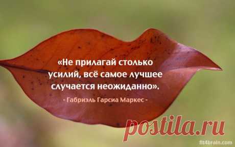 Одной фразой – Фитнес для мозга
