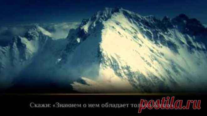 убивает раковые клетки когда слушаешь Коран это реально на 1000 %